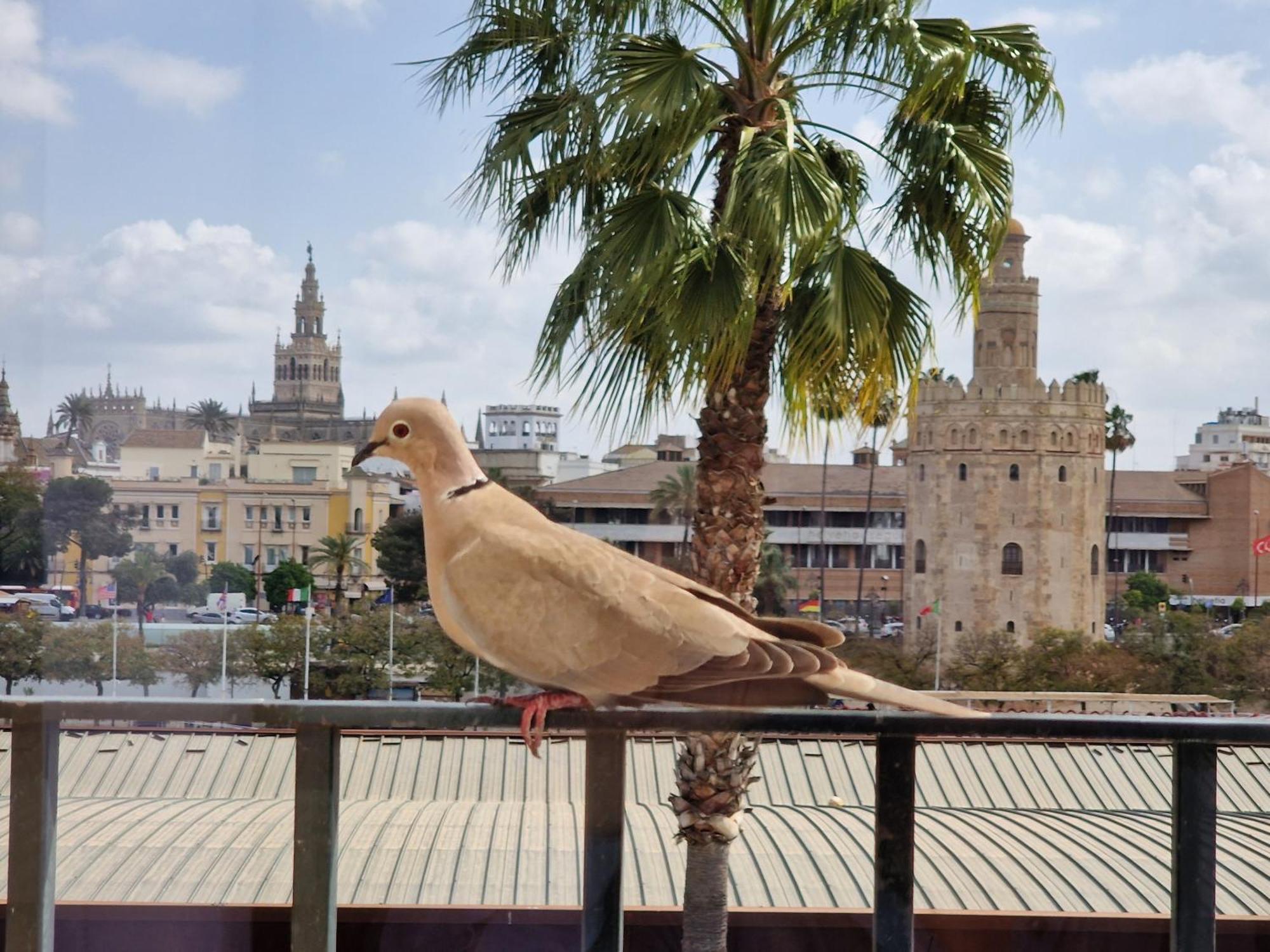 Вилла Betis Del Oro Севилья Экстерьер фото